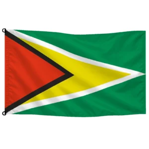 Bandera de Guyana de despacho — con escudo | Mastilium
