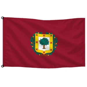 Bandera de despacho de Vizcaya diputación | Mastilium